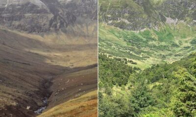 rewilding:-before-and-after-photos-reveal-stunning-transformation-of-scottish-glen