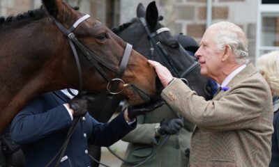 king-charles-to-sell-14-horses-inherited-from-queen-elizabeth-ii