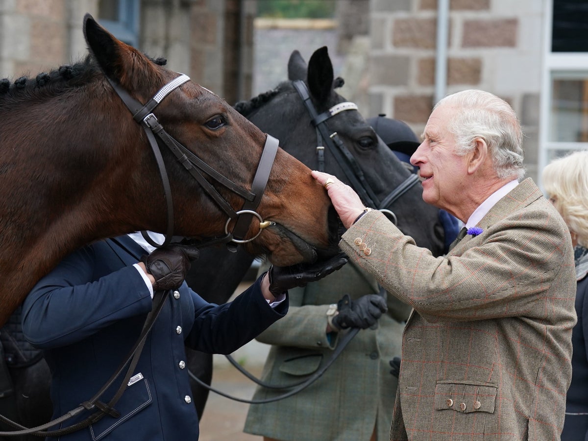 king-charles-to-sell-14-horses-inherited-from-queen-elizabeth-ii