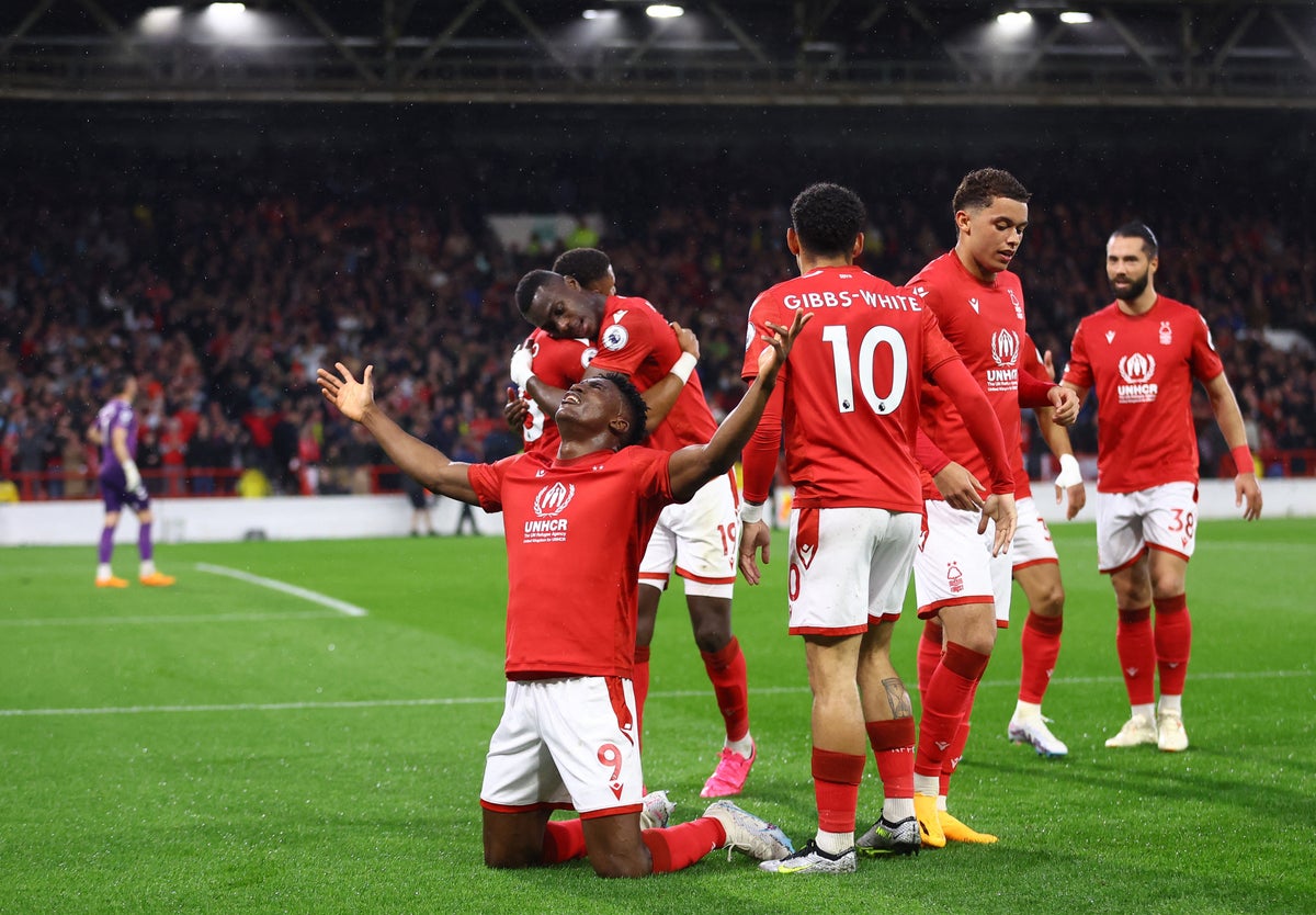 nottingham-forest-vs-southampton-live:-premier-league-latest-score,-goals-and-updates-from-fixture