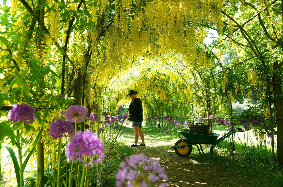 uk-braces-for-hottest-day-of-the-year-as-temperatures-set-to-hit-27c