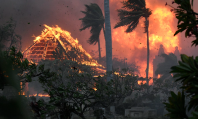 maui-wildfires-–-live:-devastating-wildfire-burns-historic-town-‘to-the-ground’-in-hawaii-and-kills-36