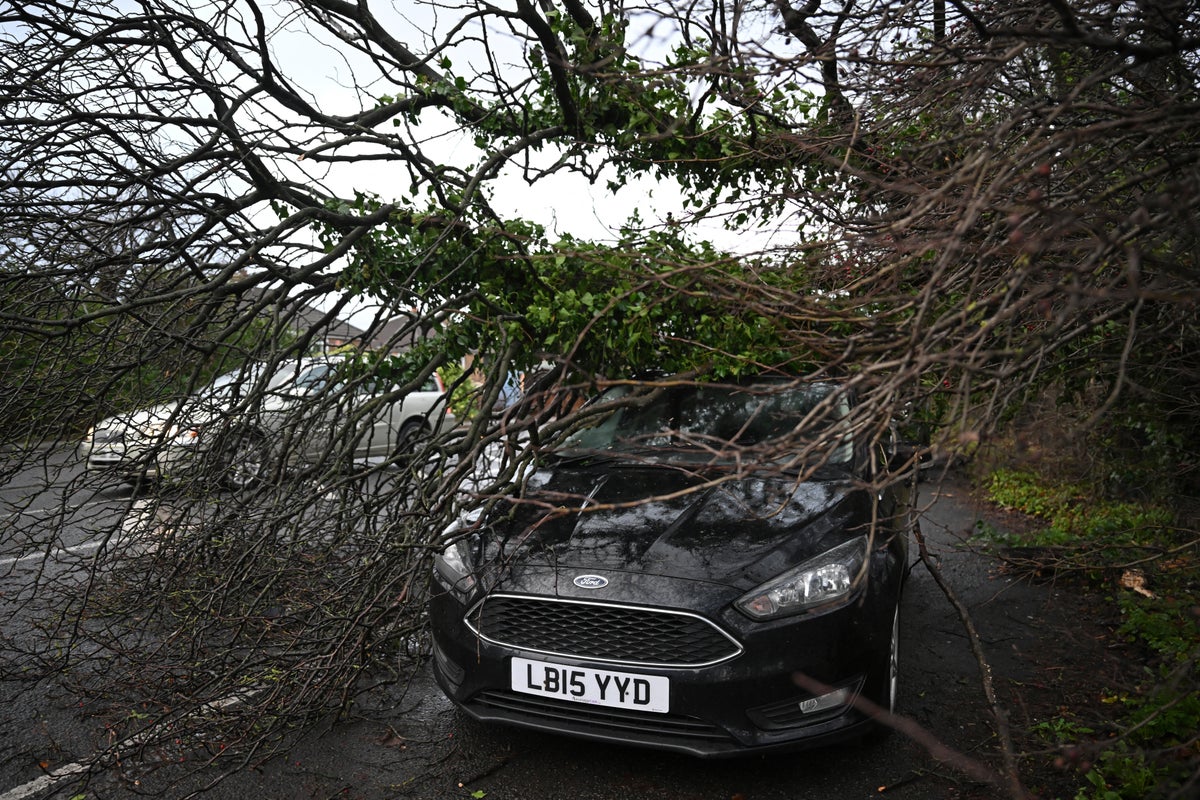 christmas-travel-warning-as-storm-pia-to-batter-uk-with-80mph-winds-–-live