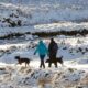 why-is-it-so-cold-in-the-uk-right-now?-snow,-ice-and-arctic-air-explained