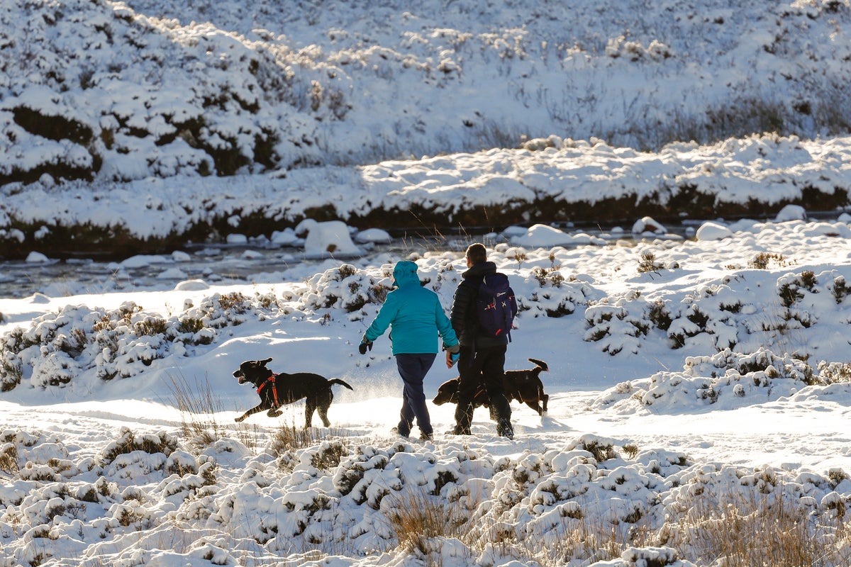 why-is-it-so-cold-in-the-uk-right-now?-snow,-ice-and-arctic-air-explained
