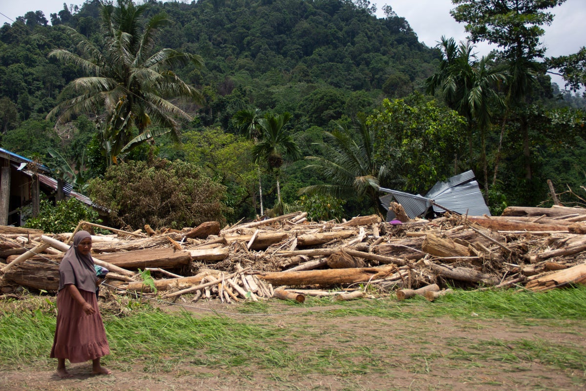 in-indonesia,-deforestation-is-intensifying-disasters-from-severe-weather-and-climate-change