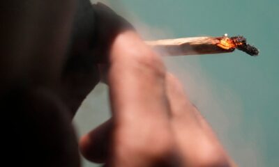 thailand-makes-shock-u-turn-on-cannabis-laws