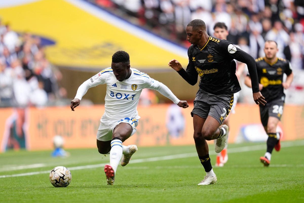 leeds-v-southampton-live:-championship-play-off-final-score-and-updates-from-wembley-after-armstrong-goal