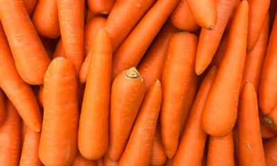 carrots-linked-to-one-death-amid-e-coli-outbreak