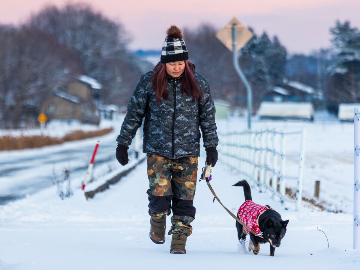 snow-mapped:-where-freezing-weather-will-hit-uk-with-up-to-40cm-snowfall-forecast