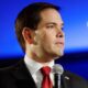 kremlin-comments-on-information-about-marco-rubio’s-visit-to-victory-parade-in-moscow