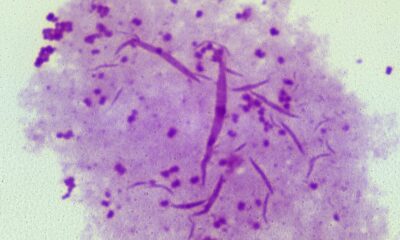 nhs-offers-world-first-vaccine-to-combat-rise-in-gonorrhoea