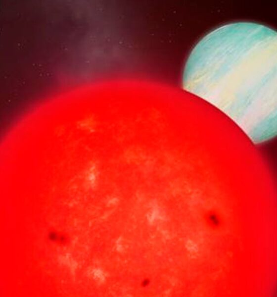 a-dwarf-star-birthed-a-giant-planet-–-but-scientists-don’t-know-how