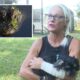 florida-woman-fights-off-five-foot-alligator-with-bare-hands-after-it-attacked-her-dog
