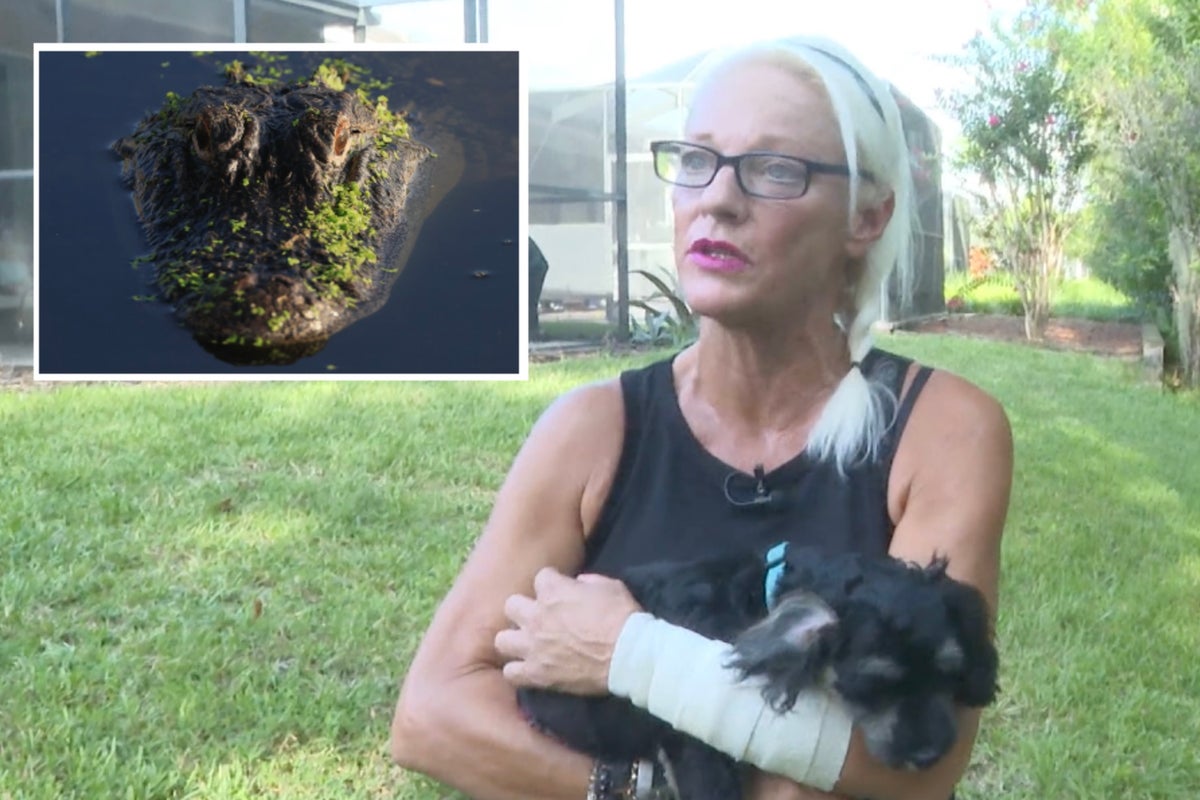 florida-woman-fights-off-five-foot-alligator-with-bare-hands-after-it-attacked-her-dog