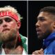 jake-paul-vs-anthony-joshua-purse:-how-much-will-each-fighter-get-paid?