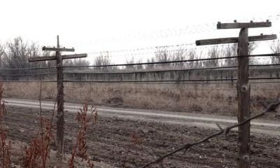 armenia-official-on-expected-opening-of-turkey-border:-i-hope-there-will-be-positive-good-news-in-near-future