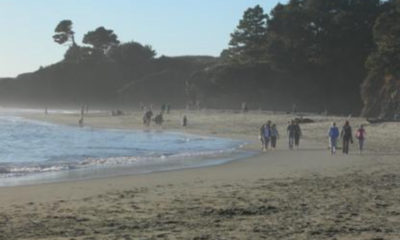 shark-attack-off-california-leaves-surfer,-39,-with-injuries-to-both-legs-and-forces-beach-closure