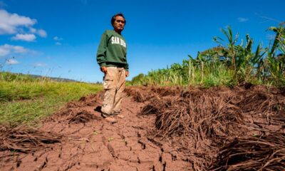 hawaii’s-worst-flooding-in-20-years-leaves-farmers-struggling-and-fewer-veggies-at-the-market
