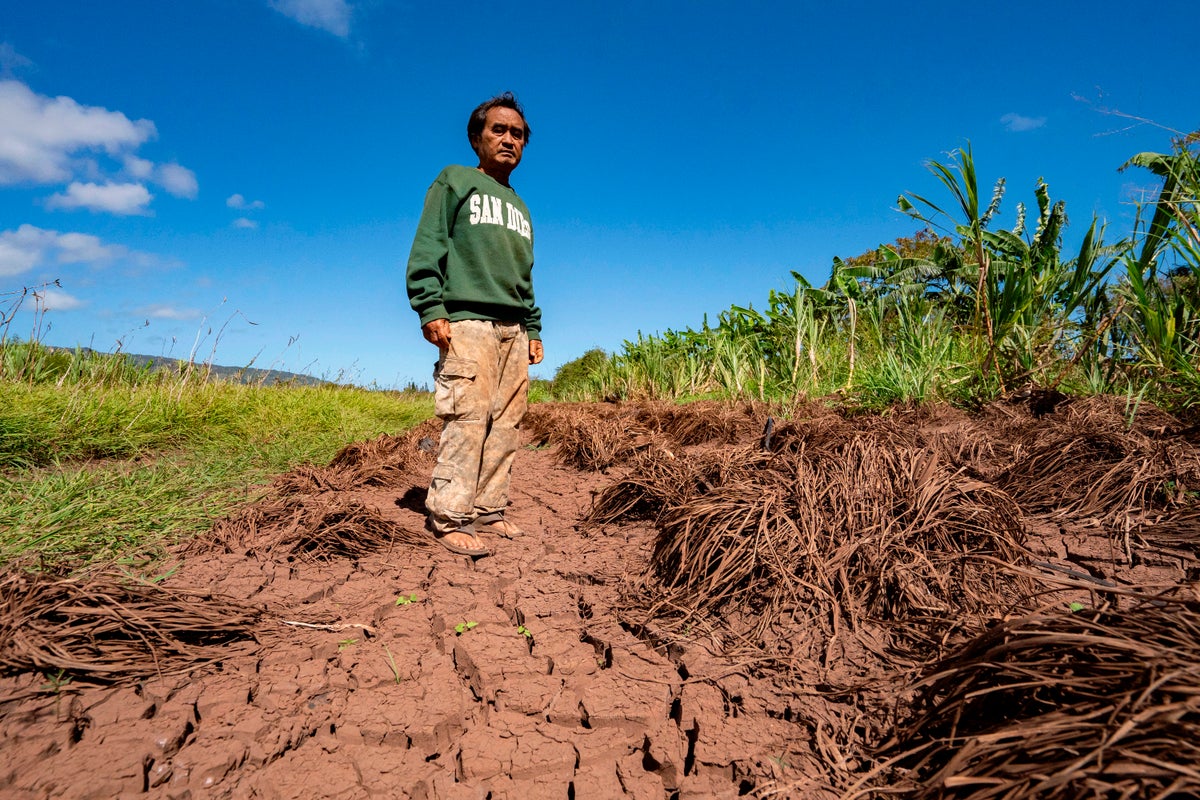 hawaii’s-worst-flooding-in-20-years-leaves-farmers-struggling-and-fewer-veggies-at-the-market