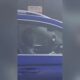 driver-paying-for-parking-ticket-behind-wheel-immediately-fined-again