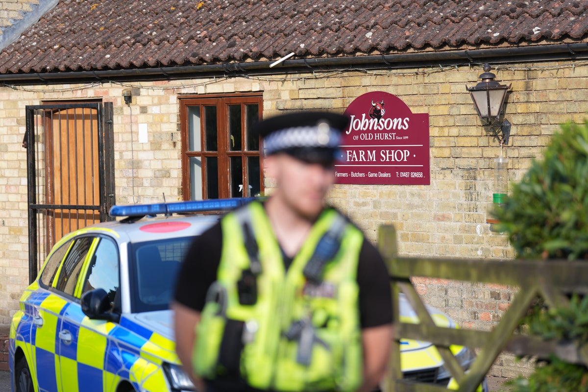man-arrested-after-boy-ended-up-in-crocodile-enclosure-at-zoo-‘not-fit-for-interview’