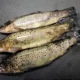 armenia-to-establish-new-requirements-for-exporting-fish,-fish-products-to-eu